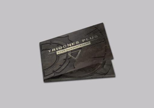 Boutique | CD | Sans Consentement | Recto | Trigones Plus | Rock
